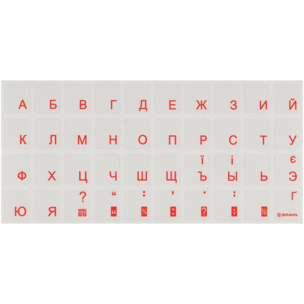 Наклейка на клавиатуру прозрачная orange [STBRTRORANGE]