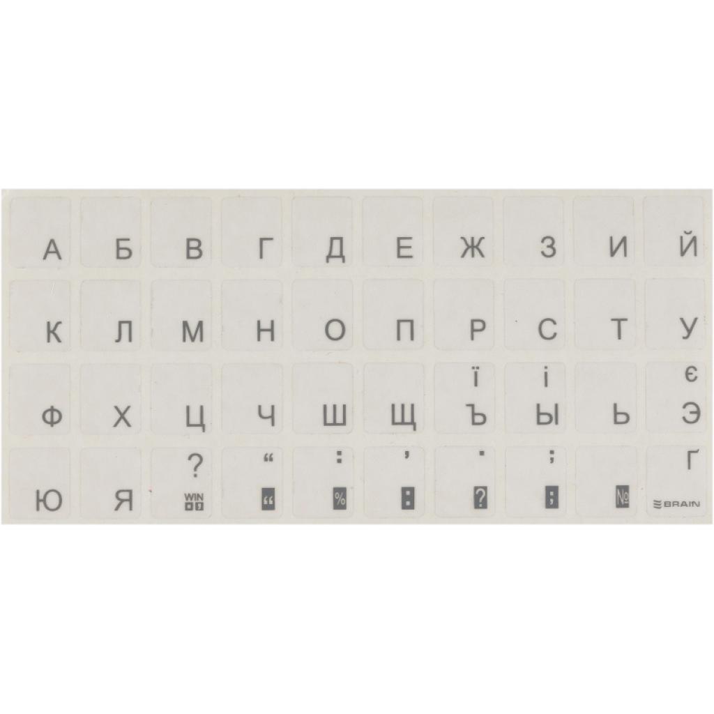 Наклейка на клавиатуру прозрачная orange [STBRTRORANGE]