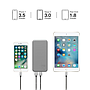 Универсальная мобильная батарея PURIDEA S2 10000mAh Li-Pol Rubber Grey & White [S2-Grey White]